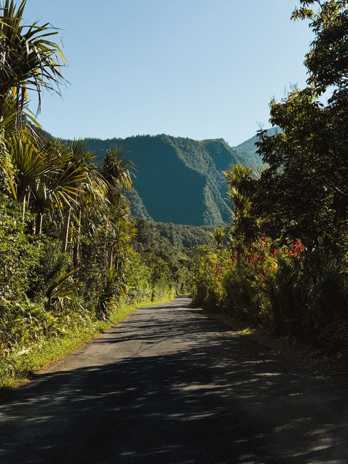 Explore a vibrant road in La Réunion surrounded by dense tropical flora and majestic mountains.